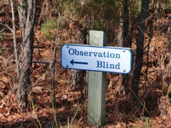 observation blind